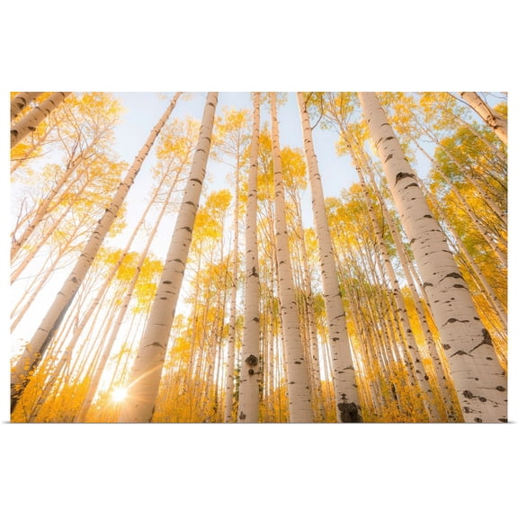 Great BIG Canvas | Rolled Dan Ballard Poster Print entitled Colorado