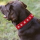 thumbnail image 4 of Collar para perros ancho y grueso con remaches de cuero. Adecuado para cuellos de 14" a 17", variedad media., 4 of 5