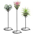 thumbnail image 2 of 3pcs Plant Displaying Stands Tillandsia Displaying Holders Spiral Flower Racks Air Plant Stands, 2 of 2