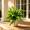 B, variant on Artificial Fern Plants Large Boston Fern, Fake Fern Bush In Pots Outdoors Decorative Plant Faux Fern Potted Plants for Home Garden Porch Farmhouse Office Decor(A)