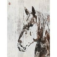 thumbnail image 3 of Orlov, Irena 15x18 Black Modern Framed Museum Art Print Titled - Galaxy Horse III, 3 of 5