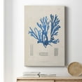 thumbnail image 6 of Blue Marine Algae IX Premium Gallery Wrapped Canvas - Ready to Hang, 6 of 9