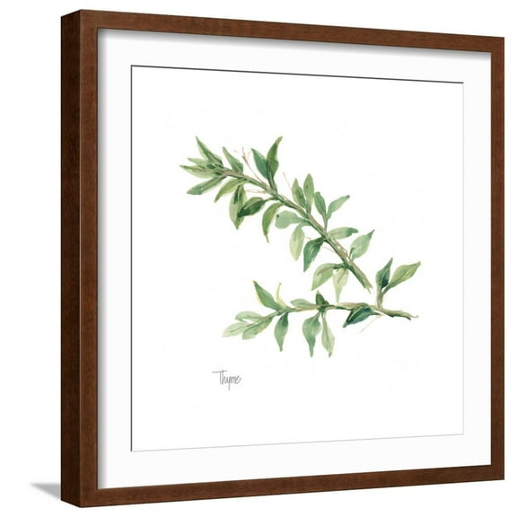 Art.com Thyme V2 Art Print by Chris Paschke, Brown Frame Wall Art, 21" x 21"