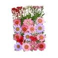 thumbnail image 1 of Surtido de flores secas prensadas, adornos de flores secas naturales para resina Rosa, 1 of 3