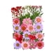 thumbnail image 1 of Muchas flores prensadas secas reales, flores secas, hojas mixtas, flores secas para bricolaje Rosa, 1 of 3