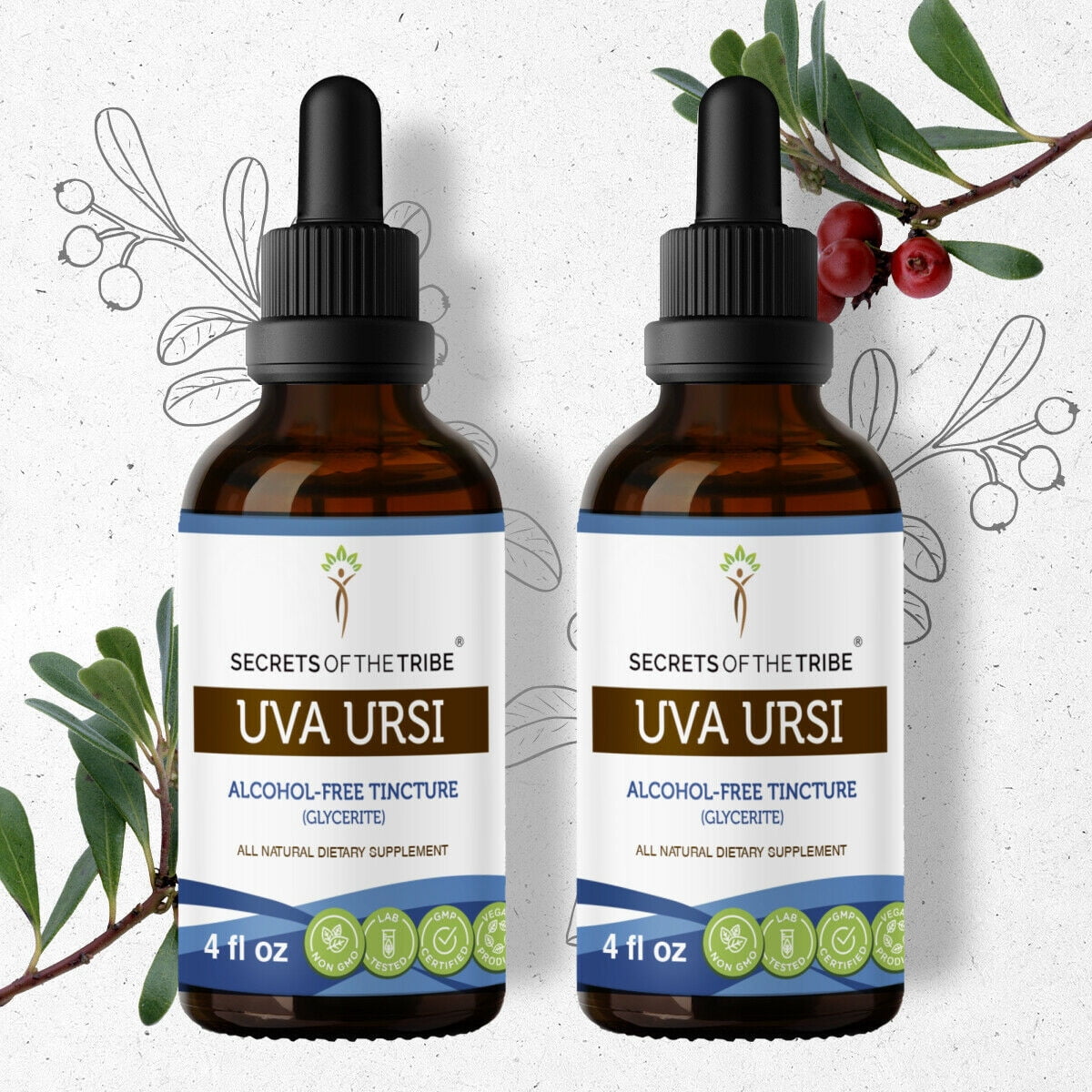 Uva Ursi Tincture AlcoholFREE Extract, Organic Uva Ursi Arctostaphylos
