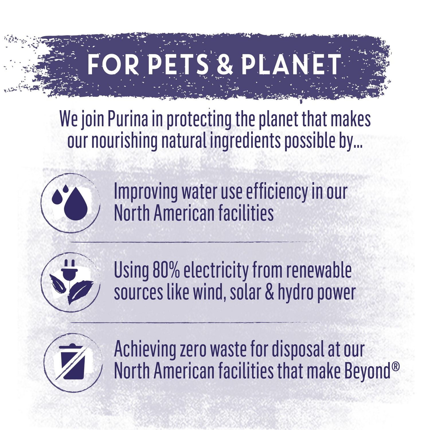 Beyond Wild Recette De Dinde, D'Œufs Et De Bouillon D'Os, Nourriture Sèche pour Chiens 1.36-4.5 kg