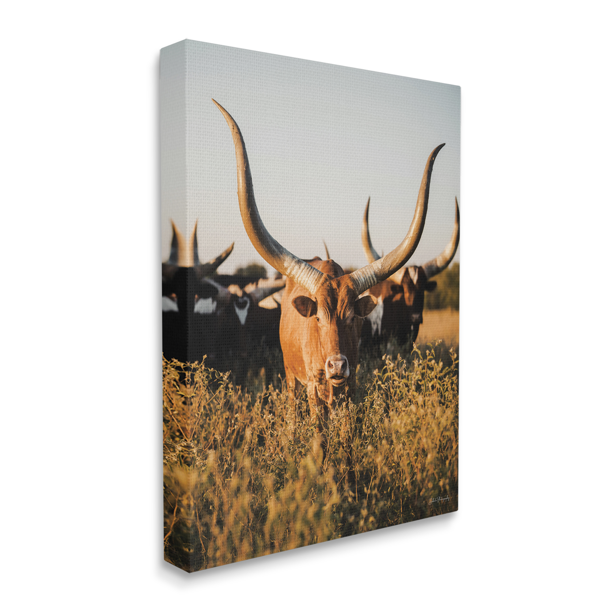 Stupell Industries Longhorn Herd Photography Animals & Insects Photography Gallery Wrapped Canvas Art Print Wall Art, 36 x 48