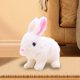 thumbnail image 3 of Juguete de conejo de peluche Conejo de peluche Juguete de bebé Animal de peluche Realista Lindo Juguete de conejo suave para Niñas y Edad blanco CUTICAT conejo de peluche, 3 of 8