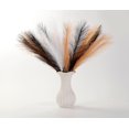 thumbnail image 3 of Pampas Grass Acfruits negro, blanco y naranja, 30 unidades, 43 cm, Halloween, 3 of 7