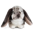 thumbnail image 1 of Conejo de Orejas Holandesas Living Nature Gris 26 cm Suave y Realista Peluche, 1 of 4