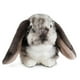 thumbnail image 1 of Conejo de Orejas Holandesas Living Nature Gris 26 cm Suave y Realista Peluche, 1 of 4
