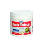 KoiWorx Muck Reducer, 145 tablets, Dry Beneficial Bacteria, Reduces Muck, Sludge, Organic build up, 100% natural bacteria, Safe for koi