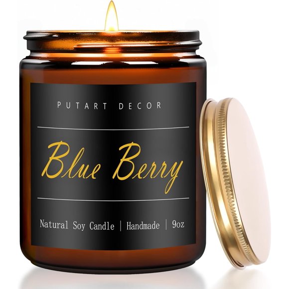 shiyou-Blue Berry Candles for Home Scented, Natural Soy Aromatherapy Non Toxic Candles with Long Lasting Fragrance & Clean Burn, Luxury Jar Candle Gift for Women, Men, Home Decoration 9oz