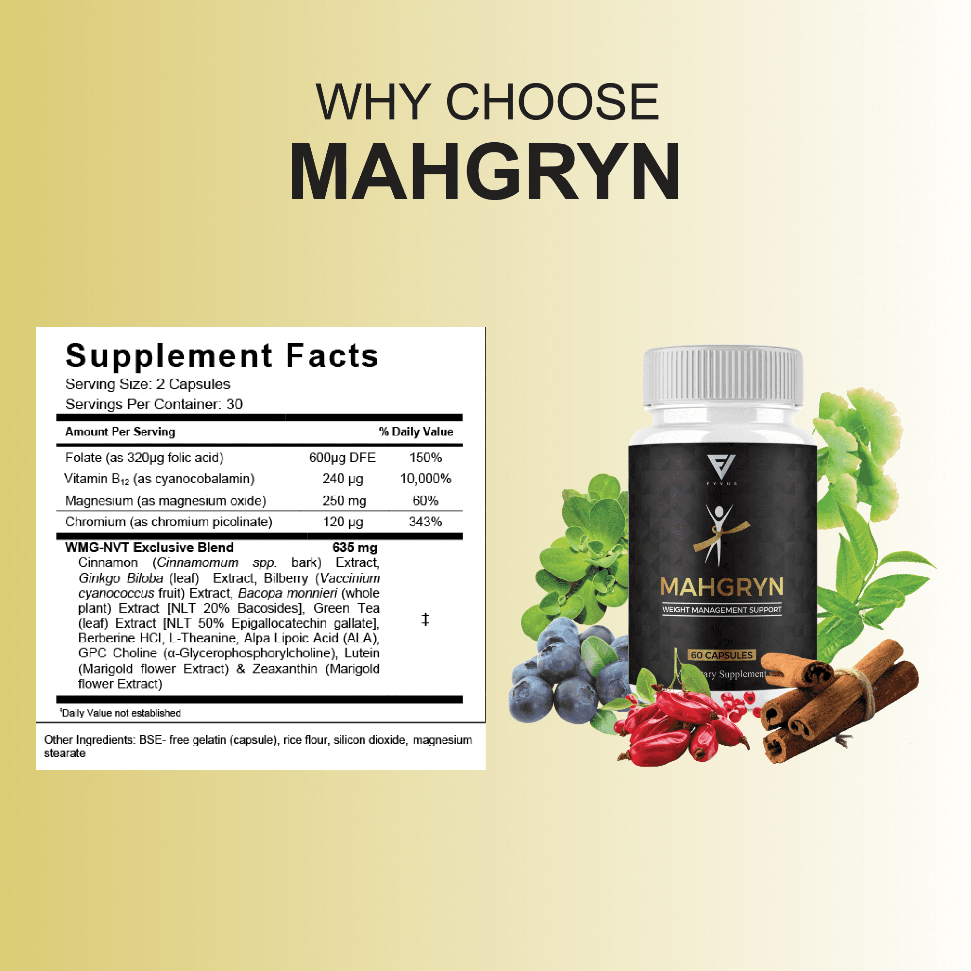 (2 Pack) Mahgryn Premium Weight Management Supplement, Mahgrin (120 Capsules)