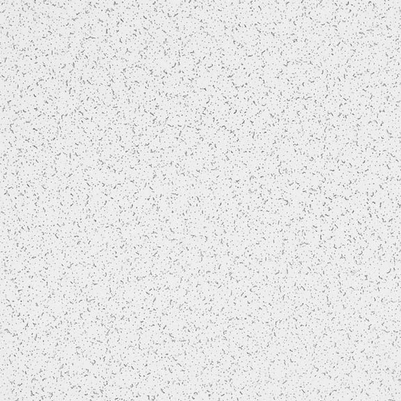 Armstrong 2x4 Random Textured Acoustic Mineral Fiber Ceiling Tiles for Suspended Ceiling Grids, 10-Tiles per Pack, White