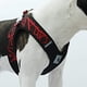 thumbnail image 5 of Correa para Perro Collar con arnés para Mascotas para Perros Grandes, medianos y pequeños, Accesorios para Perros, Correas para cinturón, arnés, Chaleco cómodo, Suministros para Mascotas, Color, 5 of 5