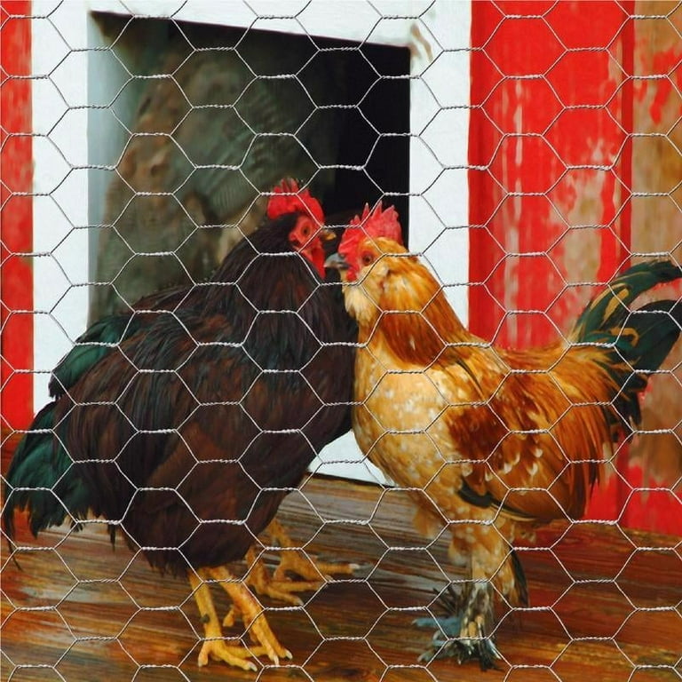 Garden Craft 48 in. H X 25 ft. L 20 Ga. Silver Poultry Netting Garden Craft 48 in. H X 25 ft. L 20 Ga. Silver Poultry Netting