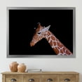 thumbnail image 3 of Designart 'Portrait of A Giraffe On Black Background I' Farmhouse Framed Art Print, 3 of 4