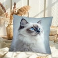thumbnail image 2 of DefiDgd Vintage Cute Animals Throw Pillow Covers,Farmhouse Decorative Pillows Covers for Animal Lovers,Sofa Bedroom Living Room Home Decoration(V), 2 of 6