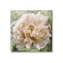Blooming Puffy Flower Nature Botanical & Floral Graphic Art Gallery Wrapped Canvas Print Wall Art