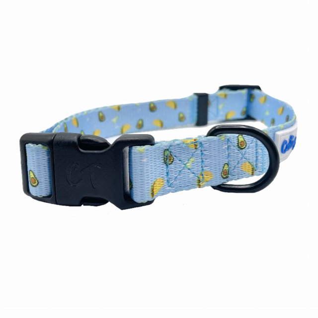 Cutie Ties Collier pour Chien Design Amusant