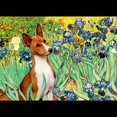 thumbnail image 3 of CafePress - 5.5X7.5 Irises Basenji - Women's Dark Pajamas, 3 of 4