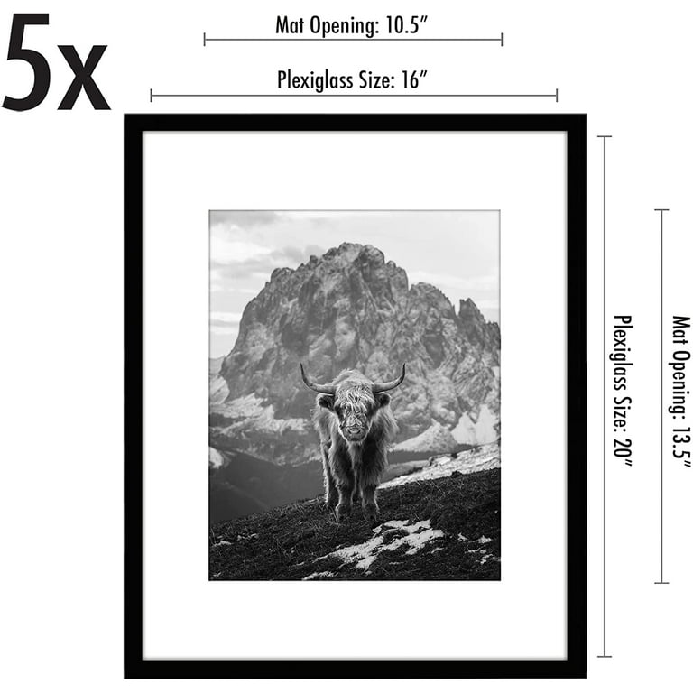 1 Pack black 16x20 Frames, Display 11x14with Mat or 16x20 without Mat