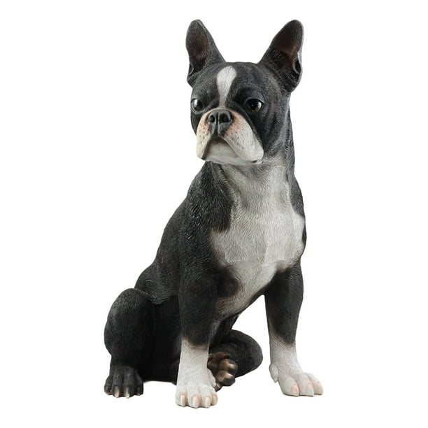 How To Protect Boston Terrier Eyes