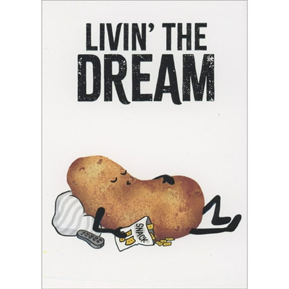 Avanti Press Sleeping Couch Potato A-Press Funny / Humorous Masculine Birthday Card for Him : Man : Men