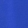 Surf The Web Blue