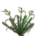 thumbnail image 4 of Vickerman JK255063LEDCC 6 ft. x 33 in. Norfolk Pine 3 mm 250CC Christmas Tree, 4 of 9