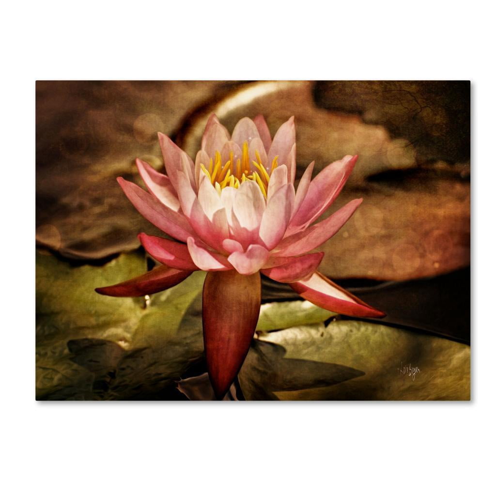 Trademark Fine Art "Magic Lily" Canvas Art by Lois Bryan