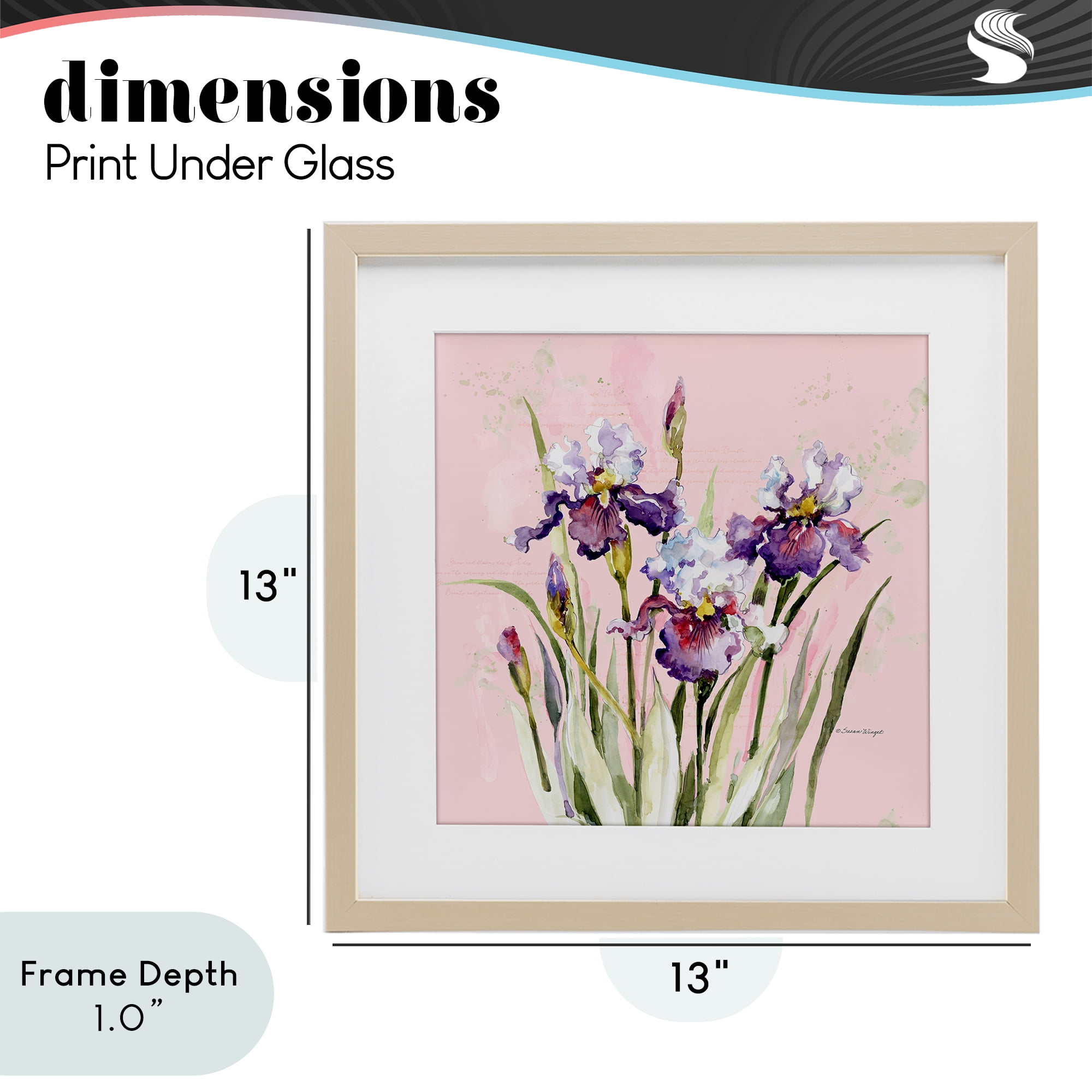 Stupell Industries Purple Irises on Pink Birch Framed Print Under Glass, design by Susan Winget