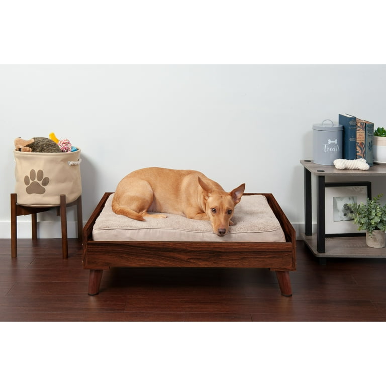 Must Have Pet Products for Dogs - The Vintage Modern Wife