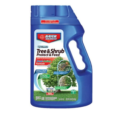 Bayer 12-Month Tree and Shrub Protect and Feed (Best Fertilizer For Trees And Shrubs)