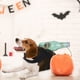 thumbnail image 4 of Decoración de Halloween, Disfraces de Halloween para Gatos y Perros, Correas de Parodia para el Pecho y la Espalda, Cuchillos de Cocina, Botellas, Martillos, Cuerpo Insertado, Perros Pequeños, Mediano, 4 of 8