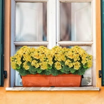 White Poppy Silk Flowers, 6pcs Lifelike Artificial Plants & Flowers, Faux Poppies Bouquet with Long Stems for Spring Kitchen Table Centerpiece Wedding Baby Shower Home Cemetery