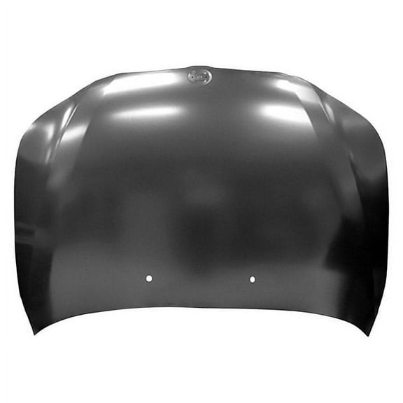 Hood Panel for BMW 5-Series 2004-2010