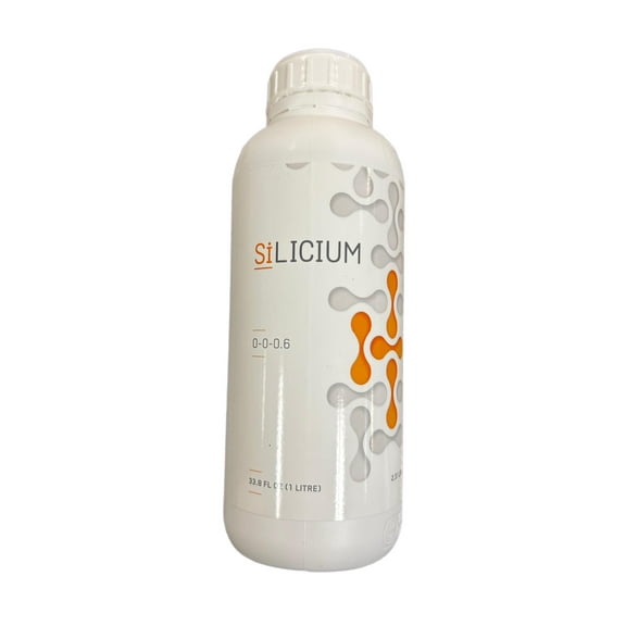 Silicium 1L