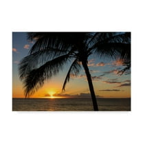 Trademark Fine Art 'Maui Sunset' Canvas Art by Pierre Leclerc