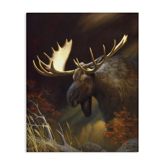 Stupell Industries Traditional Woodland Moose Portrait Canvas Art, 24 x 30, by Leo Stans