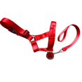 thumbnail image 5 of Dog Head Collar Gentle Stop Pulling Pet Lead Padded Noseband Training Halter, 5 of 5