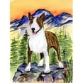 thumbnail image 1 of Carolines Treasures SS8167GF Bull Terrier Flag - Garden Size, 1 of 3