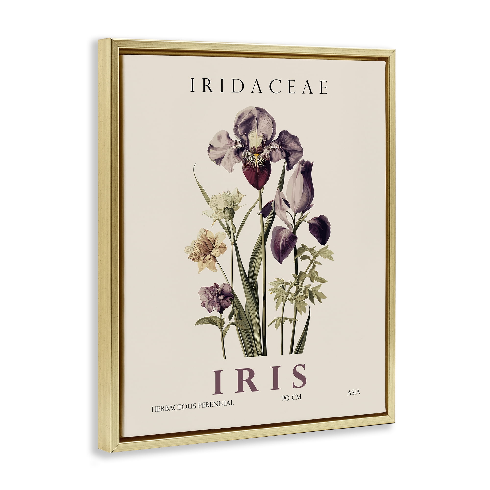 Stupell Industries Natural Iris Bundle Gold Framed Floater Canvas Wall Art, design by Christopher Giampietro