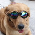 thumbnail image 4 of POINTERTECK Lunettes pour Animaux de Compagnie Lunettes de Soleil Chien Doggles Imperméable Coupe-Vent Lunettes de Protection UV Lunettes de Soleil pour Chien Chiot, 4 of 5