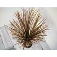 thumbnail image 5 of Sheaf Floor Lamp with Natural Reed Finish, 5 of 7