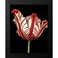 thumbnail image 2 of Harper, Ethan 15x18 Black Modern Framed Museum Art Print Titled - Vibrant Tulips II, 2 of 5