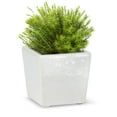 thumbnail image 3 of Square Planter, 3 of 4