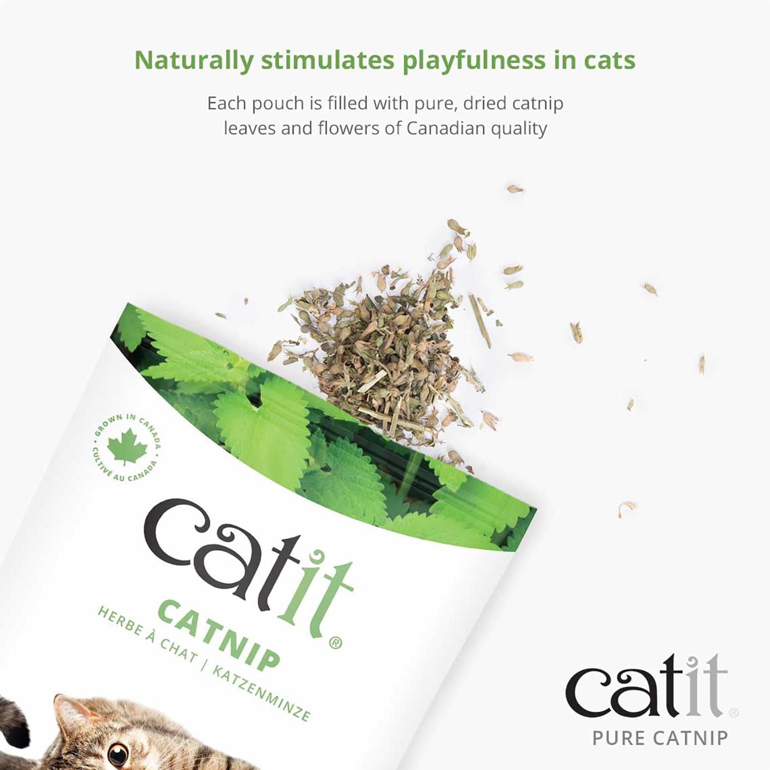 Catit Natural Catnip, Resealable Bag, 28 g (1 oz)